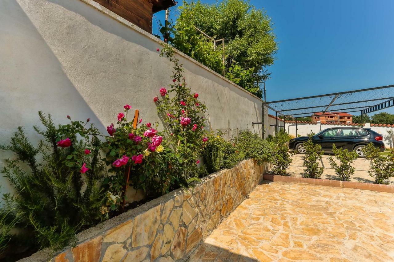 Dora Victoria Dream Apartment *