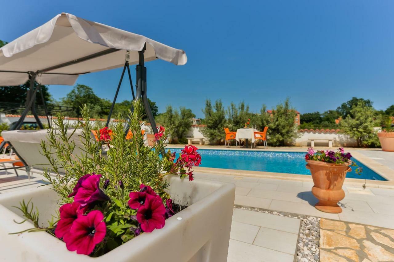 Dora Victoria Dream Appartement